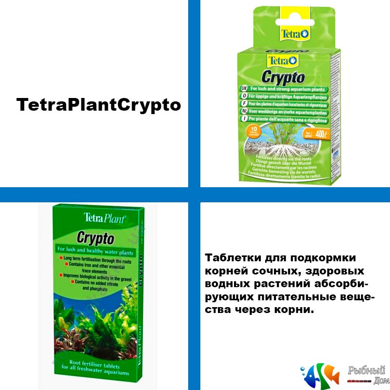 TetraPlantCrypto