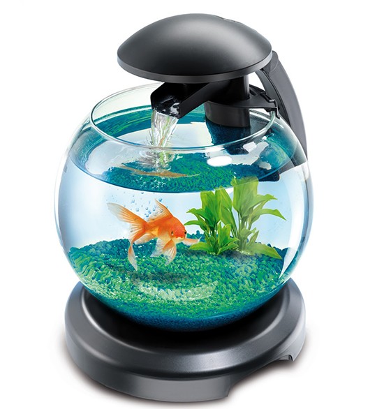 
    Круглый аквариум: преимущества и недостатки    