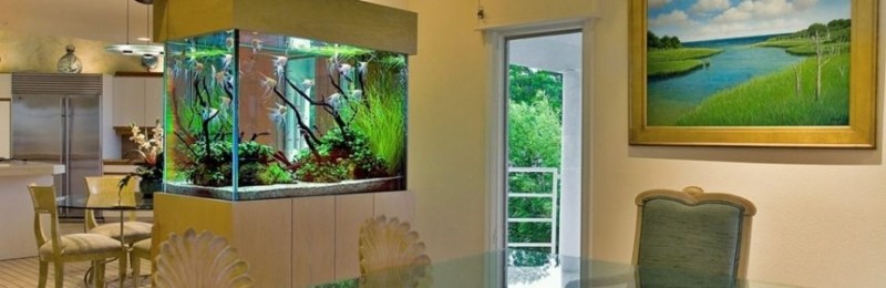 Как правильно расположить аквариум в комнате? | RibnyDom.RU