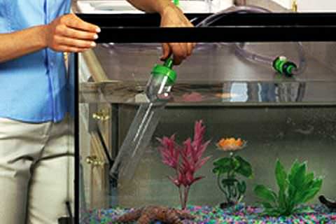 Как чистить дно в аквариуме с грунтом: описание,фото,видео. | RibnyDom.RU