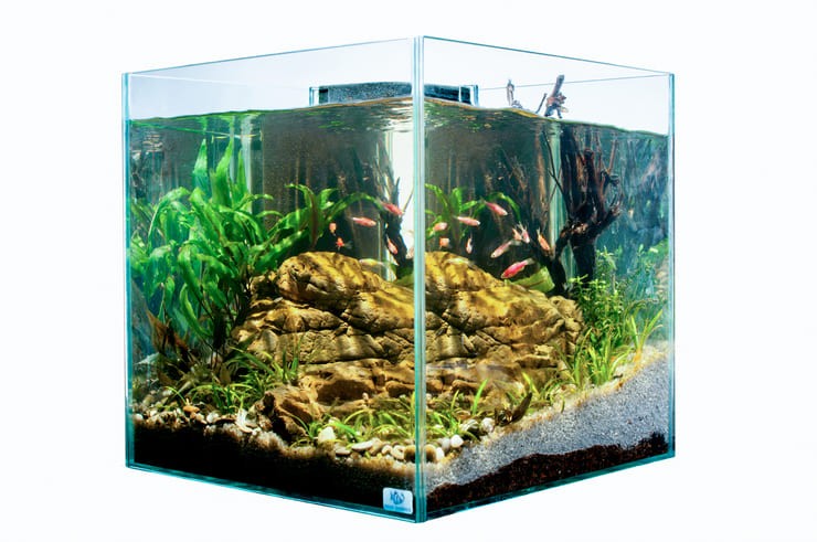 аквариум сделанный