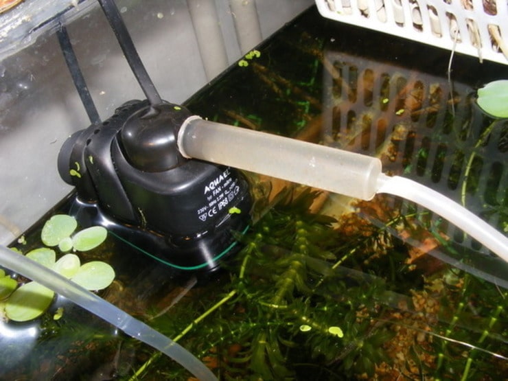 биофильтрация в аквариуме