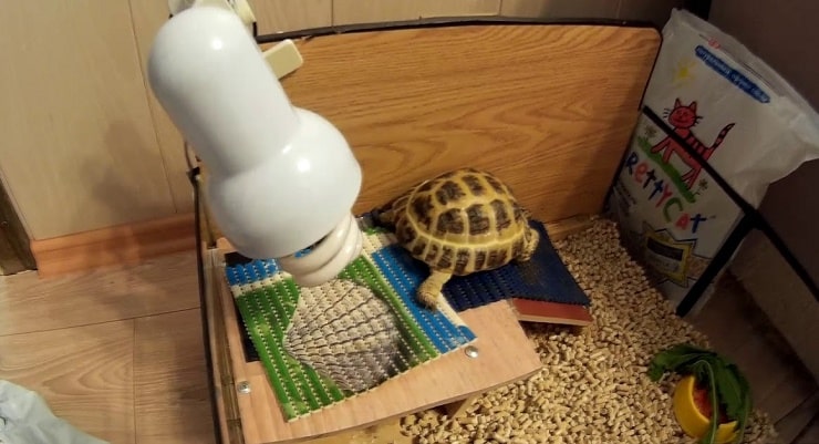 лампа для черепах