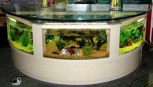 Выбор аквариума для начинающих