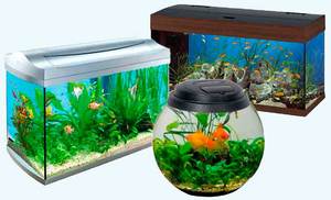 Как выбрать аквариум
