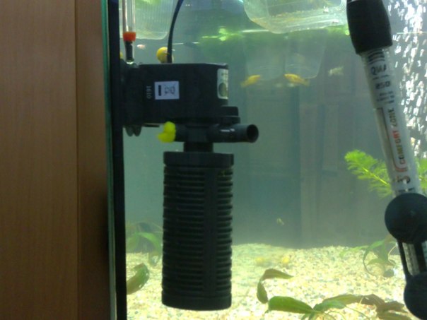 Как правильно установить помпу для аквариума? | RibnyDom.RU