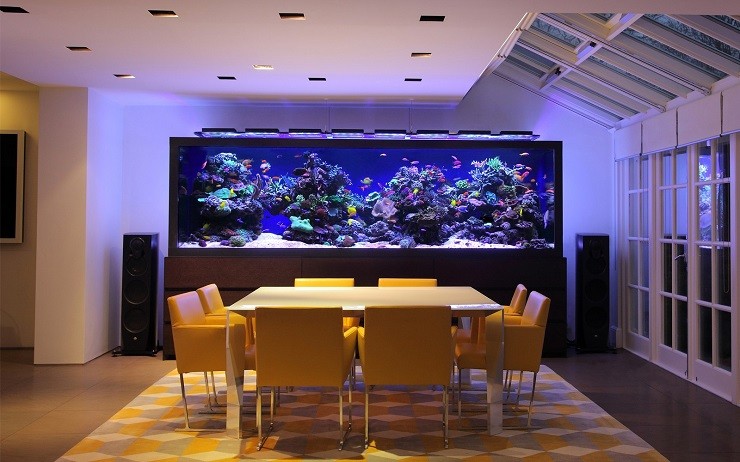 Морской аквариум дома