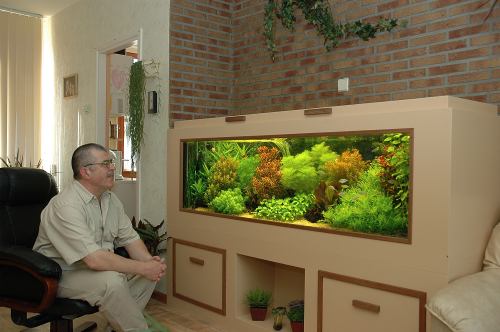 Голландский аквариум в доме - планировка и особенности ухода