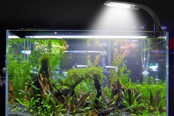 Освещение и стекло для аквариума