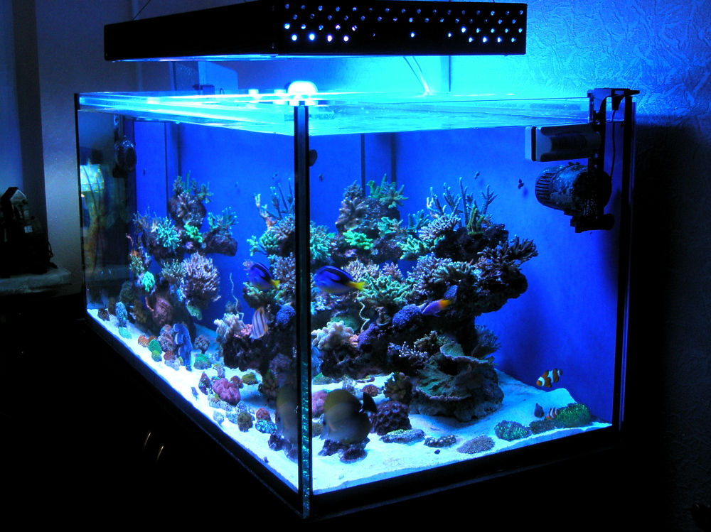 Освещение и стекло для аквариума